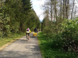 in bici con bambini
