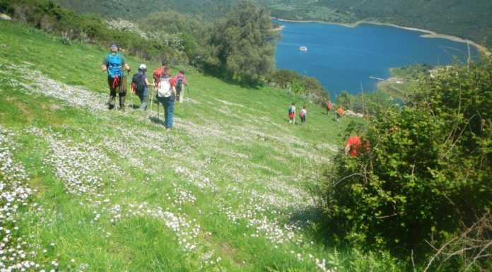 Cammino di San Giorgio Vescovo