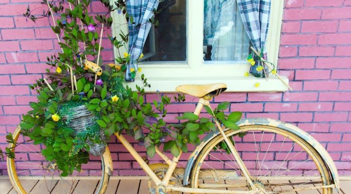 breve storia della bicicletta