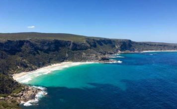 isola dei canguri in Australia