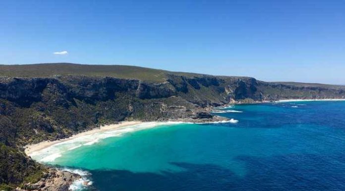 isola dei canguri in Australia