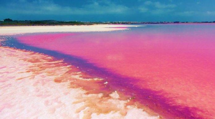 Lago di Retba: il lago rosa