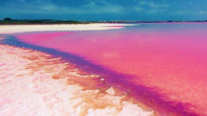 Lago di Retba: il lago rosa
