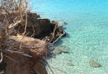 Sardegna: mare e natura