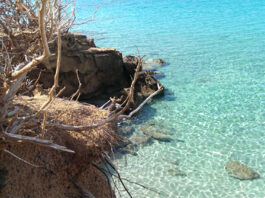 Sardegna: mare e natura