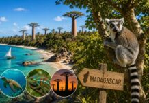 madagascar